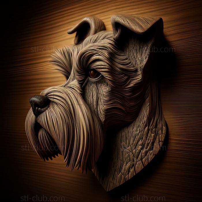 st Mittelschnauzer dog